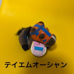 テイエムオーシャン アバンティ 5S ぬいぐるみ