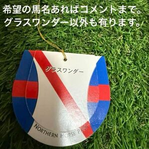グラスワンダー タグのみ