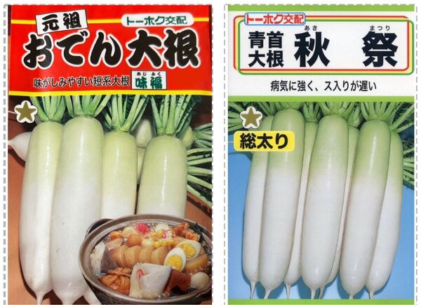 野菜の種 おでん大根 秋祭