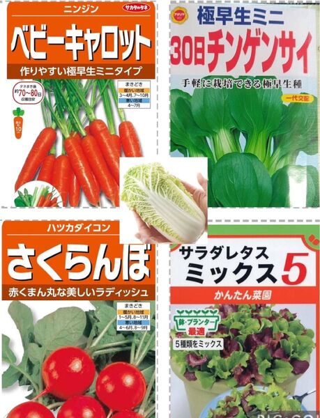 野菜の種 ミニセット