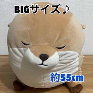 くったりカワウソ もちふわキューティーフェイス ぬいぐるみ ウルトラBIG ウルトラ big カワウソ