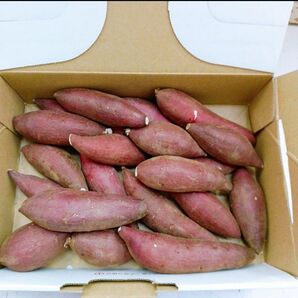 ☆蜜芋☆ 茨城県産 シルクスイート 2sサイズ
