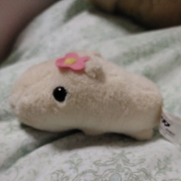 非売品 カピバラさん 手のひらサイズ ぬいぐるみ カテ変します。