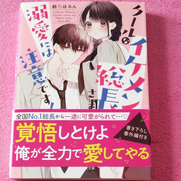 クールなイケメン総長さまの溺愛には注意です! (ケータイ小説文庫 す3-2 野いちご) 鈴乃ほるん/著