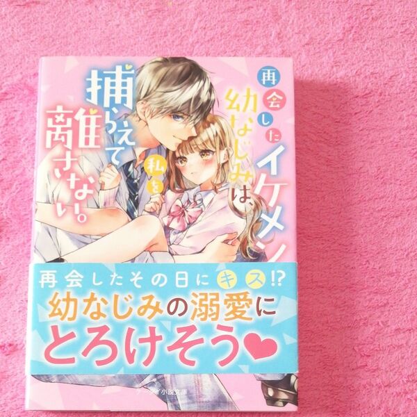 再会したイケメン幼なじみは、私を捕らえて離さない。 (ケータイ小説文庫 あ7-15 野いちご) acomaru/著