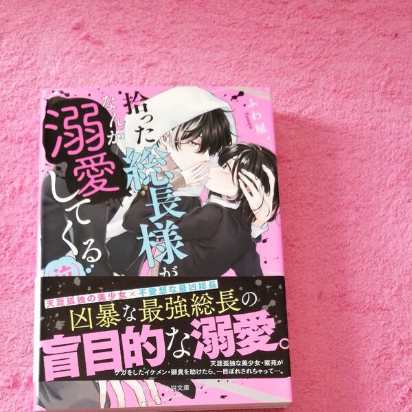 拾った総長様がなんか溺愛してくる〈泣〉 (ケータイ小説文庫 ふ3-1 野いちご) ふわ屋。/著
