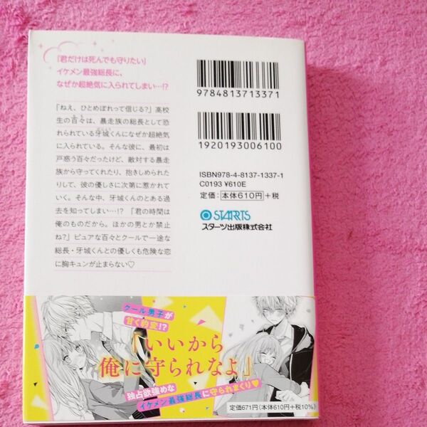 独占欲強めな総長さまは、絶対に私を離してくれない。 (ケータイ小説文庫 す2-2 野いちご) 朱珠*/著