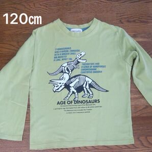 長袖Tシャツ 120cm 黄緑色 SHOOLARUE