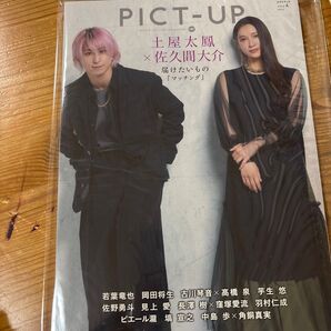 ピクトアップ 2024年4月号 (ピクトアップ)