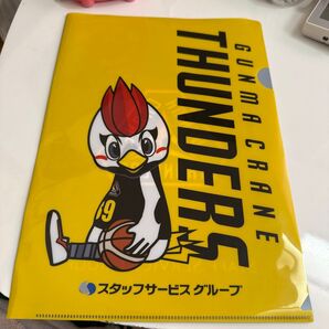 群馬クレインサンダーズ A4クリアファイル