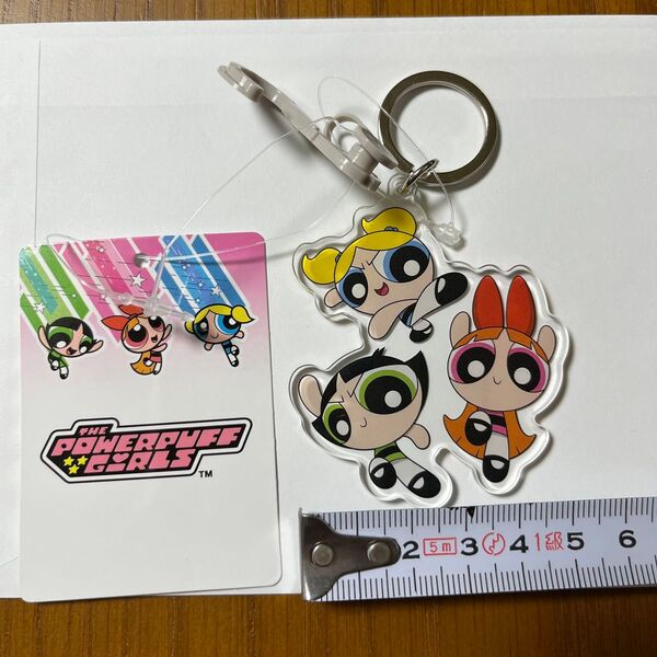 パワーパフ ガールズ アクリルキーホルダー チャーム