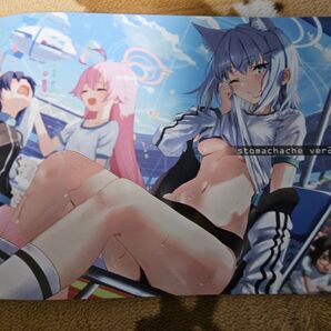 冬コミ ハライ亭 stomachache ver22.0.0 (c105)