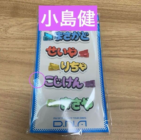 Aぇgroup 小島健 D.N.A ヘアクリップ
