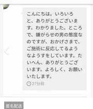 悩み受付仕事恋愛未来過去　霊視陰陽師　金運底上げお守り付き　_画像5