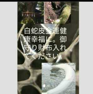 陰陽師手作り白蛇皮お守りパワーアップあなたを幸せ金運底上げ祈祷　厄払い霊視をし配達