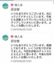 波動メンテと、白蛇皮お守りあなたに尽くし祈祷します。陰陽師鑑定書配達ヒーリングお祓い　霊視をし金運底上げ祈祷。売れてます_画像10