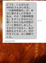 陰陽師の白蛇皮お守り金運仕事恋愛金運祈祷厄払いします。艶美しい触れる波動白蛇皮　ご利益ありますお守り_画像9