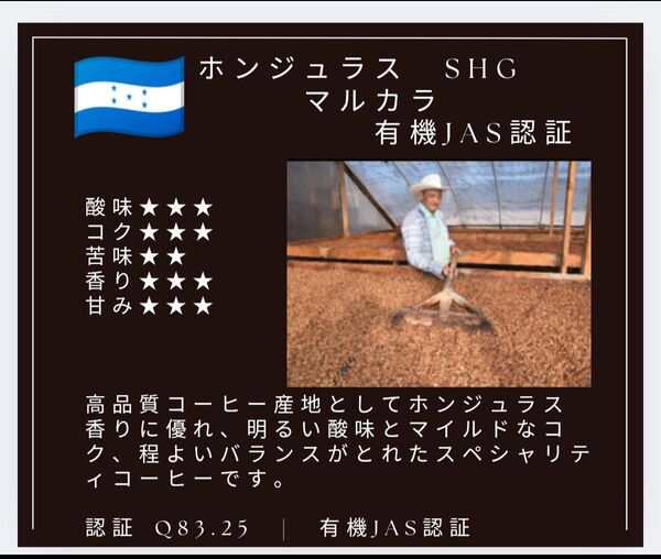 自家焙煎屋 有機栽培 珈琲豆 SpecialtyCoffee ホンジュラスマルカラ 250g