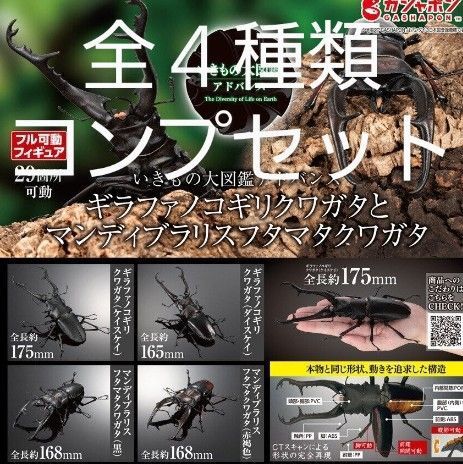 ギラファノコギリクワガタとマンディブラリスフタマタクワガタ いきもの大図鑑アドバンス