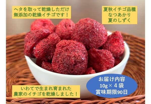 乾燥イチゴ10g×4袋 添加物・着色料・砂糖不使用 自社農園の完熟したイチゴを乾燥 そのままでヨシ 荒く砕いてヨシ 粉にしてもヨシ