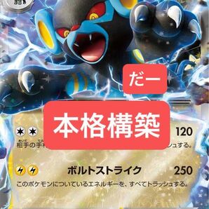 レントラーex デッキ 構築済みデッキ ポケカ