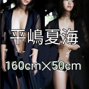 平嶋夏海 抱き枕カバー 160cmx50cm 2wayトリコット 両面印刷 カバーのみ本体なし 送料込み 匿名配送