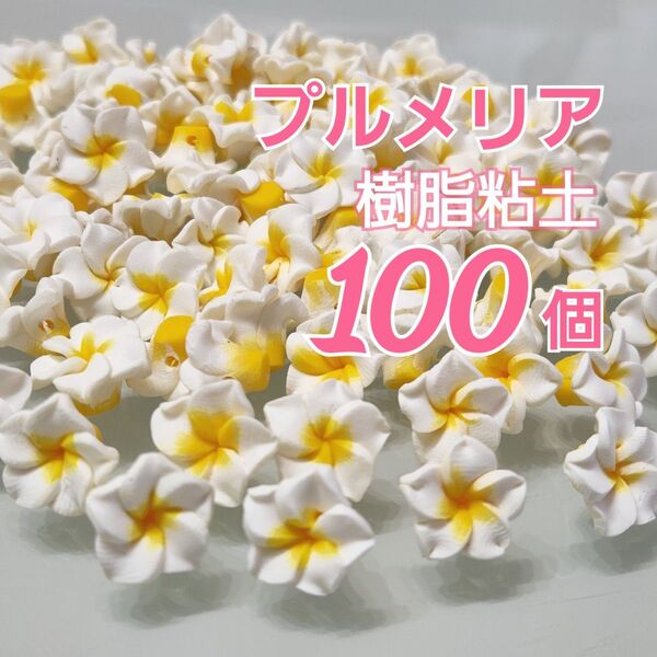 100こ☆プルメリア☆樹脂粘土☆粘土ビーズ☆白のみ☆まとめ売り☆割引対象外