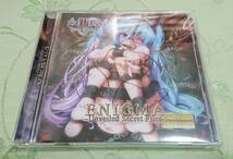 DVD 「ENIGMA Unveiled Secret Files Hi-Resolution DVD Edition」 Xenon Maiden キセノンP_画像1