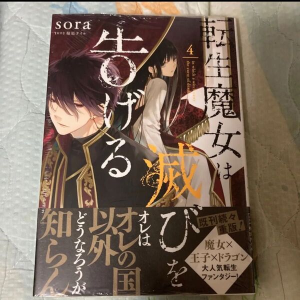 転生魔女は滅びを告げる 4 (フロースコミック) sora/著 柚原テイル/原作