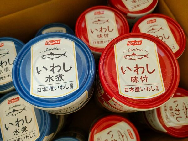 ニッスイ 日本産 いわし水煮 味付け煮 20個セット