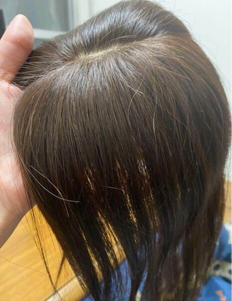 長さ約26cmタイプ 前髪付き総手植え薄毛隠し 人毛100%ナチュラルブラウン