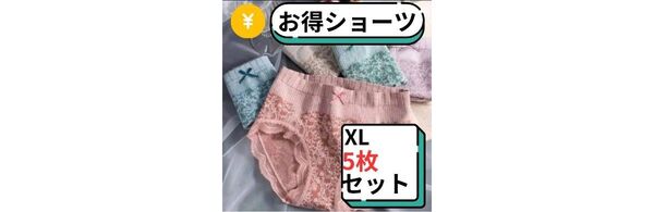 ショーツXL5枚 深め レディース 高通気性 ストレッチ ハイウエスト 温活 下着 セット まとめ売り インナー 妊活 サニタリー