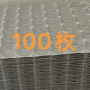 卵トレー紙モールド100枚