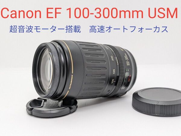 5月19日限定価格♪Canon EF 100-300mm USM