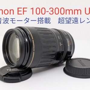 4月18日限定価格♪Canon EF 100-300mm USM