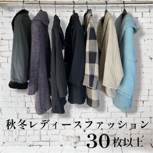 秋冬 レディースまとめ売り 30枚 (30枚以上あります)