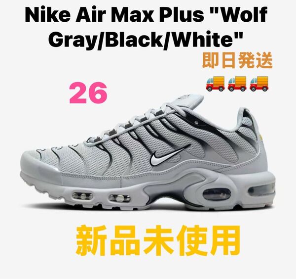 Nike Air Max Plus "Wolf Gray/Black/White"