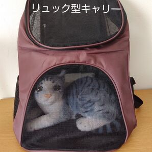 猫用折畳式 リュック. キャリーバッグ