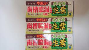 ■３個セット　生葉(しょうよう) 無研磨タイプ 歯槽膿漏を防ぐ 薬用ハミガキ ハーブミント味 95g×３