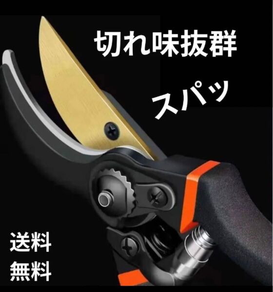 剪定はさみ 剪定鋏 枝切り ガーデニング 剪定バサミ 園芸 盆栽 はさみ 果樹 剪定ハサミ
