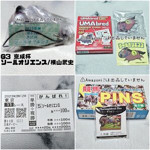 【競馬】ソールオリエンス グッズセット まとめ売り