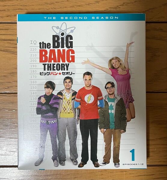 ビッグバン★セオリー セカンド・シーズン セット1〈3枚組〉 DVD