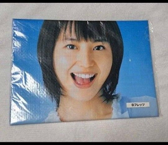 長澤まさみ NTT レジャーシート