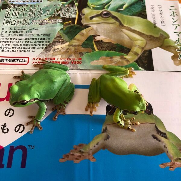 ネイチャーテクニカラー