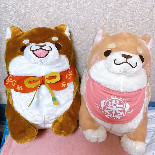 忠犬もちしば ででーんと超BIGさくら 10周年ででーんと超BIGぬいぐるみ 柴犬