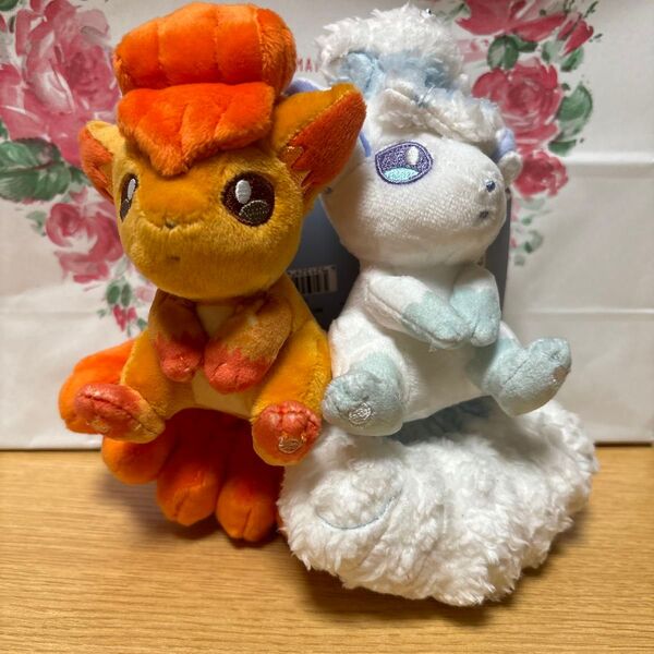 ポケモンセンター磁石でくっつくペアマスコットにたものどうし ロコン&アローラロコンタグ付き
