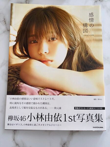 櫻坂46 欅坂46 小林由依 写真集 感情の構図 初版