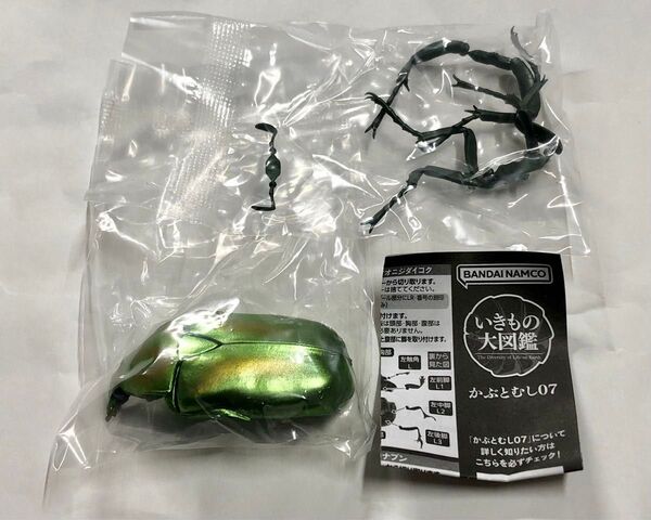 いきもの大図鑑かぶとむし07 アオカナブン