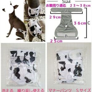 繰り返し使える #マナーパンツ #マナーおむつ Sサイズ