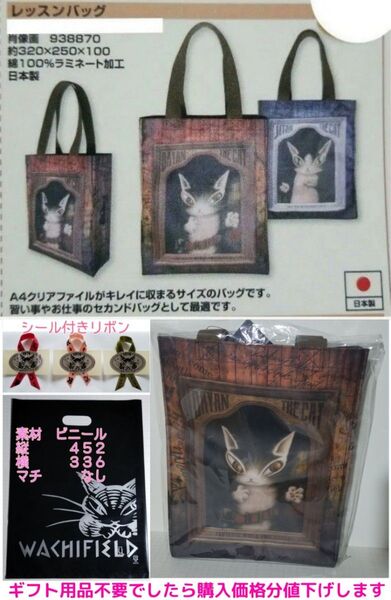 A4ファイルがスッポリ入る #レッスンバッグ #ギフト用品セット #わちふぃーるど #猫のダヤン